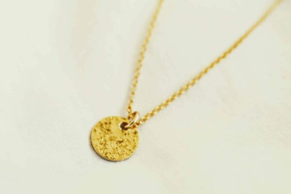 collier délicatesse (2)