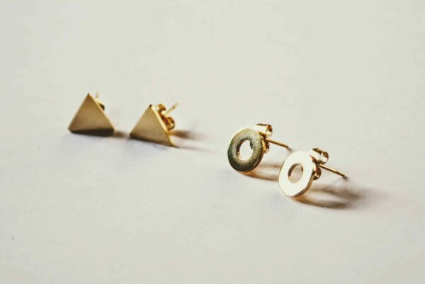puces geometriques (1)