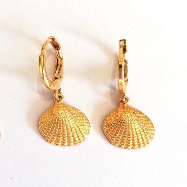 amulettes coquillages