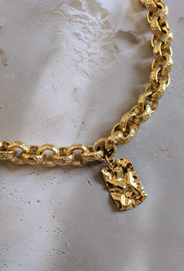 PXL_20251126_095321794.MP