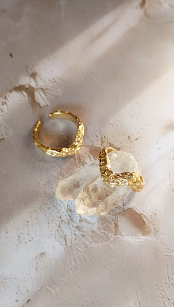 PXL_20251126_100813630